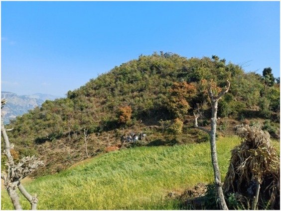 Barite exploration site photo 2